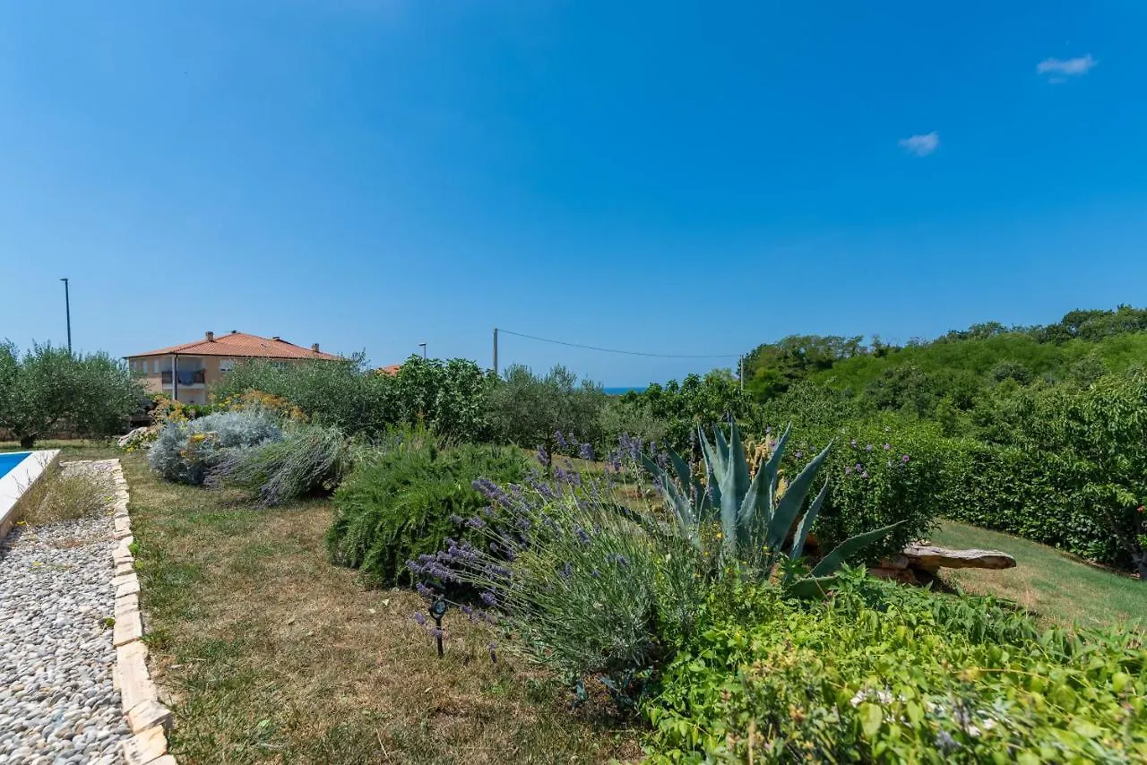 Villa Leandra Novigrad   Novigrad (Istria)